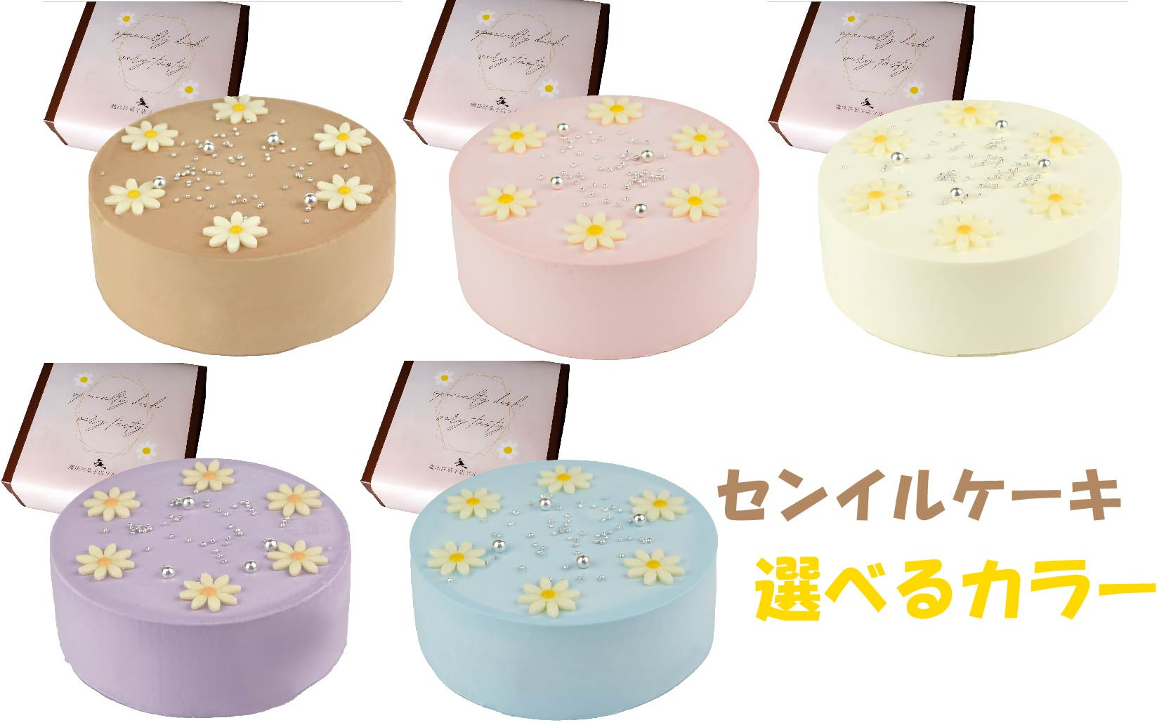 
            【着日指定可】【選べるカラー】ケーキ センイルケーキ 4号 直径13.5cm 2人～4人分 285g 【単品（ローソクのみ）】 スイーツ ギフト 誕生日ケーキ | デザート ケーキ お菓子 洋菓子 冷凍 着日指定 お誕生日 誕生日 ギフト お祝い 愛媛県 松山市
          