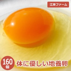 江原ファーム　体に優しい地養卵 160個 割れ補償 | 卵 たまご タマゴ _AG06