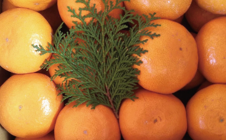  フルーツ  早生 興津 温州 みかん 蜜柑 三重県  高品質 みえ アルギット / Lサイズ 前元農園の完熟早生(興津)温州みかん 10kg【12月初旬～1月中旬に順次発送】【mmg016A】