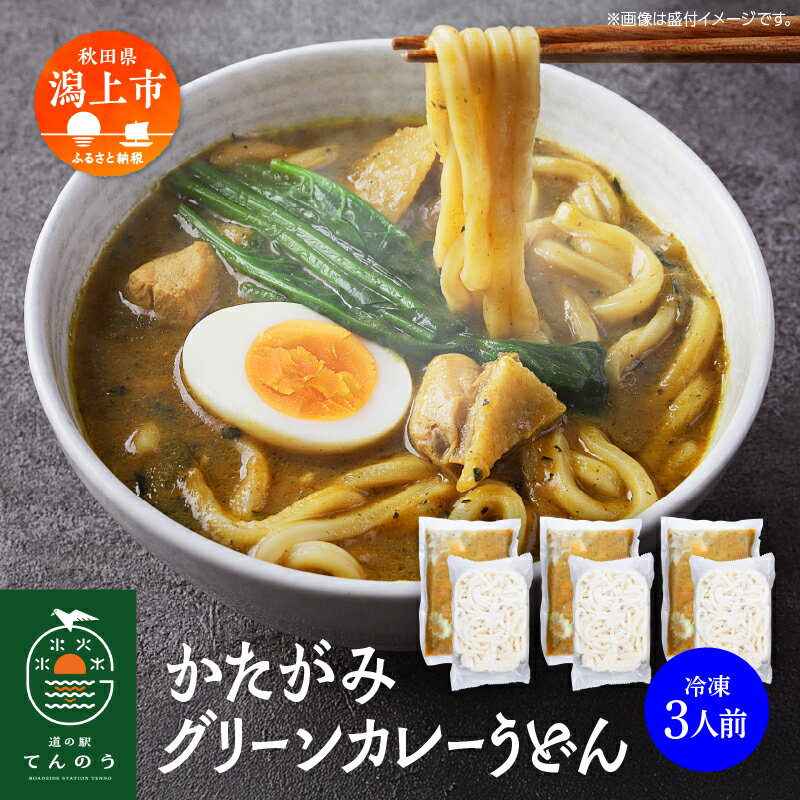 【ふるさと納税】 かたがみグリーンカレーうどん 3人前 カレー うどん カレーうどん 比内地鶏 小分け 麺 冷凍 3個 3袋 簡単 お手軽 レトルト スープ付き うどんの素 国産 道の駅 ご当地 一人暮らし おすすめ ふるさと 潟上市 秋田 送料無料 【秋田味商】