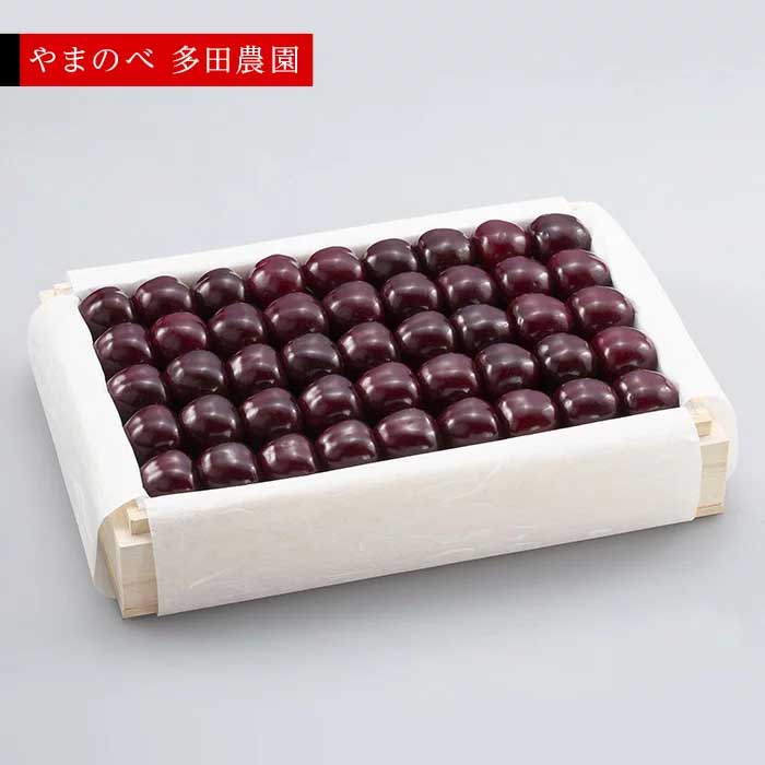 【ふるさと納税】≪2026年 先行予約≫さくらんぼ 特選サミット 桐箱詰 1100g「やまのべ多田農園」 F2Y-1398