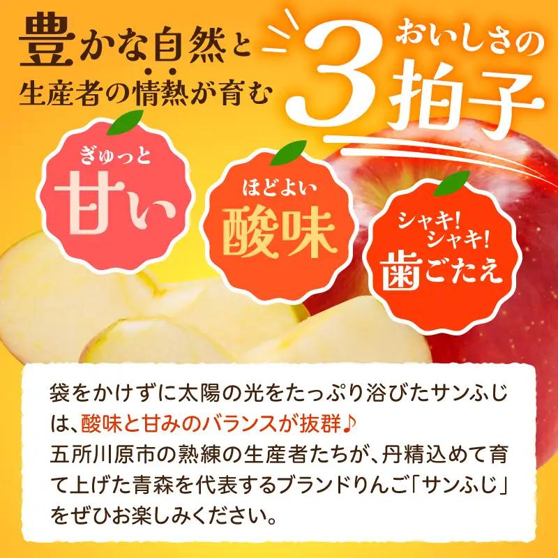 【2027年1月上旬発送】《訳あり》 りんご 約10kg サンふじ 青森産 りんご