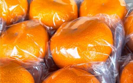 くまモン 木箱入り みかん 約3kg 柑橘 果物 蜜柑 フルーツ くだもの   【2026年12月上旬発送開始】