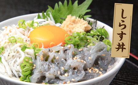 高知産「生シラス」イワシ稚魚100g×5パック入り (タレ付) [ATBX003]