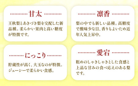 おまかせ梨 秀品 約1.8kg 日本フルーツ《8月上旬-10月末頃出荷》熊本県 長洲町 なし 梨 果物 フルーツ デザート ギフト ご贈答