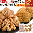 【ふるさと納税】山賊の唐あげ＆かしわおむすび おにぎり おむすび かしわ飯 唐揚げ 冷凍 お米に合う ご飯のお供 おつまみ お取り寄せグルメ お取り寄せ 福岡 お土産 九州 福岡土産 取り寄せ グルメ 福岡県