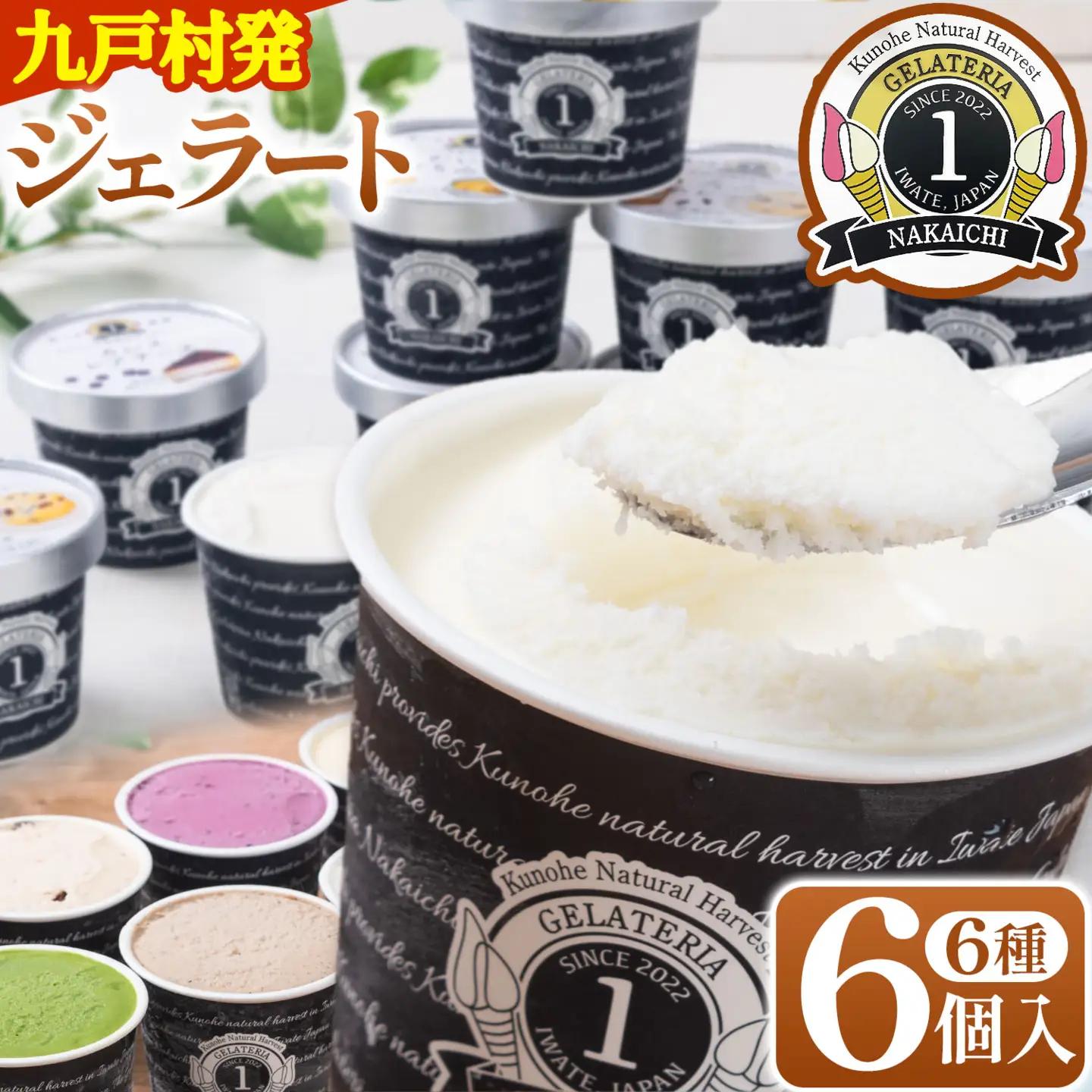 ジェラート 6種 詰め合わせ 計6個 GELATERIA NAKAICHI