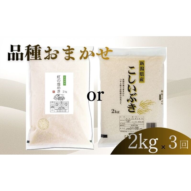 【ふるさと納税】【7月下旬より配送】 新潟県産 品種おまかせ 2kg 3か月定期便 新潟県 新潟市産 令和7年産 お米 精米 米 ご飯 送料無料　お届け：令和8年7月下旬から発送
