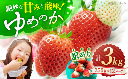 いちご 【先行予約】【 訳あり 】 ゆめのか いちご 計3kg（250g×12パック）  ＜川原農園＞ [CDR006] 長崎 西海 イチゴ いちご 苺 ゆめのか いちご 訳あり 家庭用 