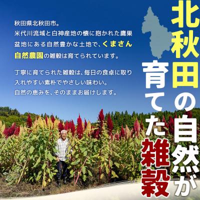 ふるさと納税 北秋田市 雑穀 ひえ 計600g(200g×3袋)秋田県 北秋田市産|kgrl-00021 |  | 01