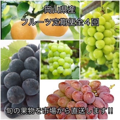 【発送月固定定期便】岡山県産 フルーツ定期便全4回【配送不可地域：離島・北海道・沖縄】【4075037】