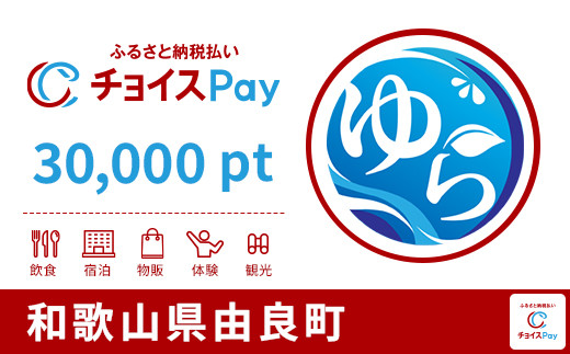 
            由良町チョイスPay 30,000pt【会員限定のお礼の品】
          