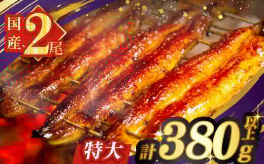 ≪6/2から寄附金額見直し予定≫【2週間以内発送】うなぎ蒲焼特大2尾(さんしょう・たれ付き)計380g以上 鰻 魚 魚介 加工品 国産_T026-006-2W