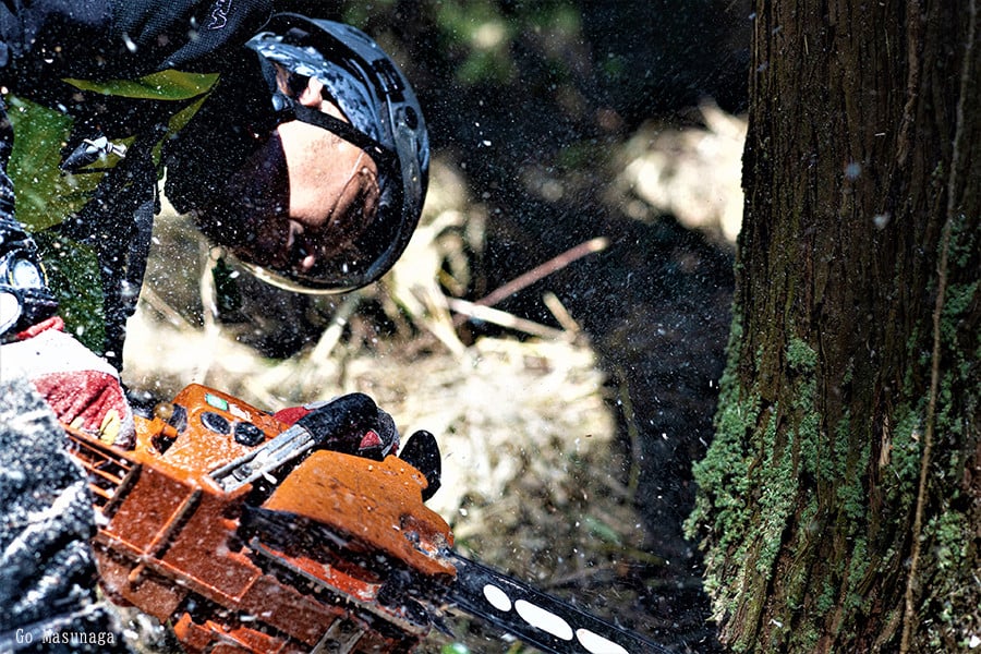 【KALCANO】イヤリング ジュエリー jewelry アクセサリー レディース 熊本 阿蘇小国杉 小国杉 工芸品 木製 樹脂パーツ 淡水パール ニッケルフリー素材使用 金属アレルギー対応 ギフト 