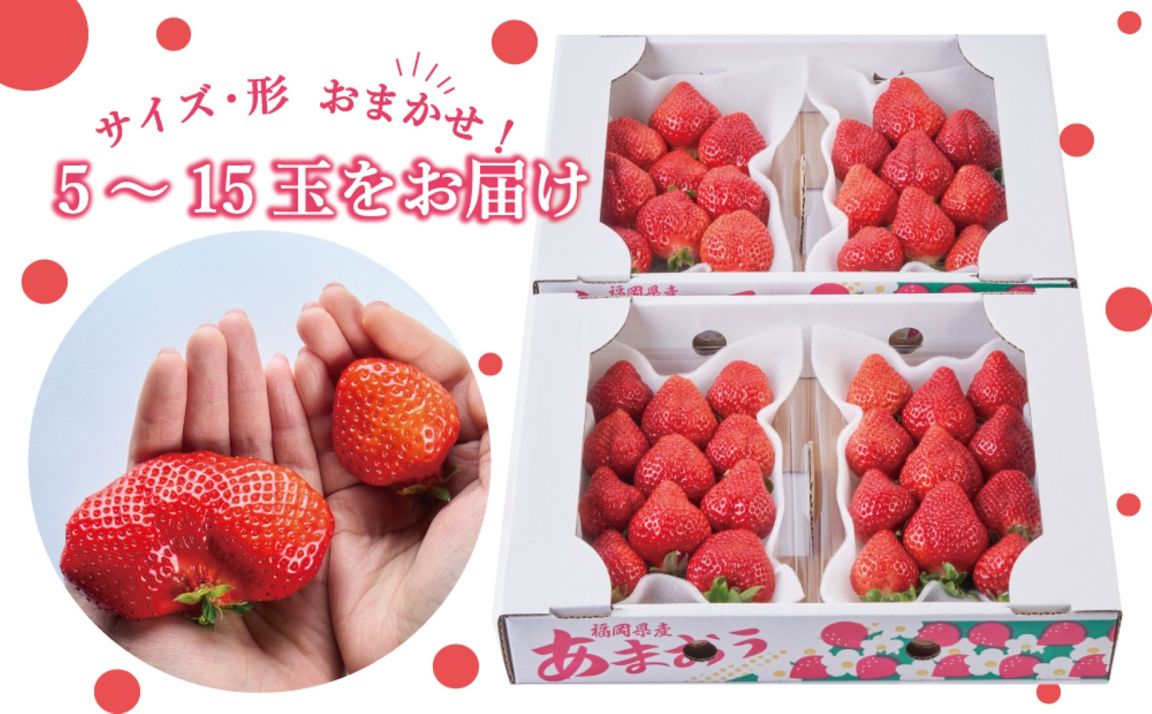 【2025年2月1日～3月31日までに発送！】有機肥料にこだわったたっちゃん家の完熟あまおう（270g×4パック）【配送不可地域：北海道・沖縄・離島】