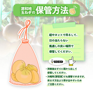 【先行予約】 津和地新玉ねぎ 5kg【津和地ブランド玉ねぎ】愛媛 松山 ブランド玉ねぎ 津和地島産 野菜 農家直送 期間限定【YMN002】
