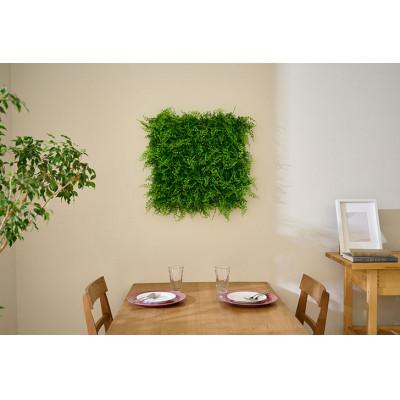 ふるさと納税 大河原町 DECO GREEN ウォールパネル アジアンタム 3個セット アイリスオーヤマ[53752995] |  | 02