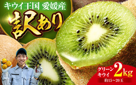【11月中旬から順次発送】【訳あり】グリーンキウイ 2kg （約15玉から20玉）/玉川農園 キウイ 訳あり キウイフルーツ フルーツ 果物 くだもの[AGBC011]