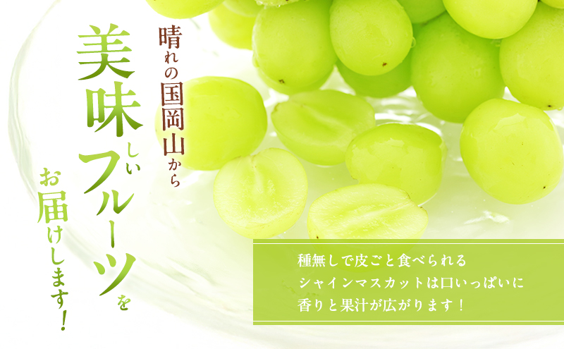 ぶどう 2025年 先行予約 シャイン マスカット 大房 約1.4kg 2房 ブドウ 葡萄 岡山県産 国産 フルーツ 果物 直送！せとうちバスケット 