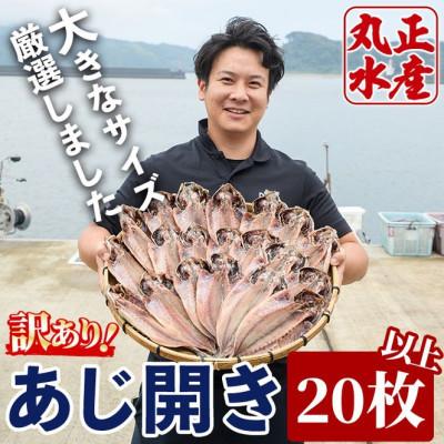 ふるさと納税 門川町 【訳あり!簡易包装】国産大あじの開き(20枚以上)