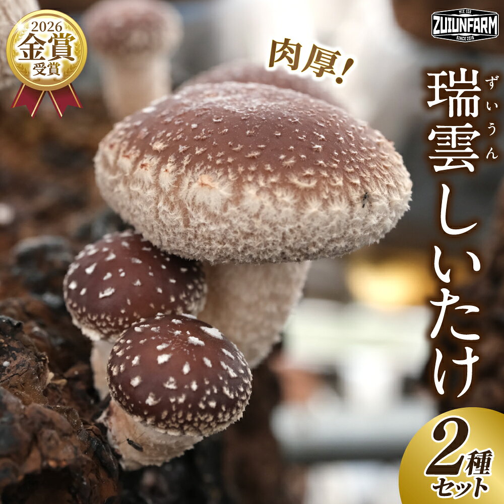 【ふるさと納税】しいたけ《瑞雲しいたけ2種セット》（2026年10月〜2027年2月上旬頃お届け）/ 「全国サンマッシュ生産協議会金賞受賞！」しいたけ 椎茸 シイタケ 肉厚 菌床栽培 野菜 やさい きのこ 菌類 菌茸 送料無料 三重県伊賀市