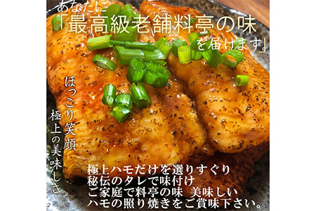  鱧の照り焼き(100g×10切れ)【冷凍】【B-28】