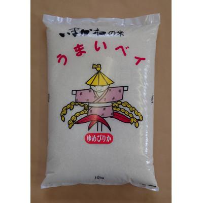 ふるさと納税 今金町 令和7年産 今金産 ゆめぴりか精米  10kg