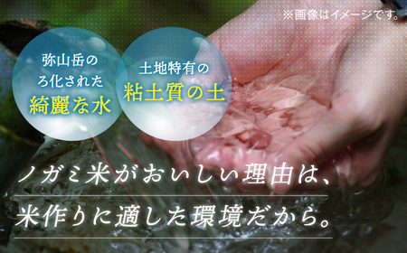 弥山岳の岩清水で育ったノガミファームのお米 玄米20kg(5kg×4袋） 桂川町/NOGAMI FARM[ADAU012]