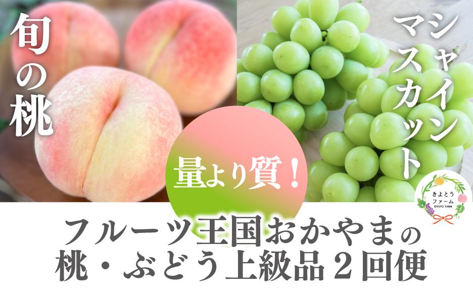 
            【きよとうファーム】量より質！桃とシャインマスカット 上級品の2回便 (定期便)  (岡山県産) KF-T018-02 / ぶどう もも シャインマスカット モモ ブドウ 果物 フルーツ 定期 セット きよとう果樹園
          