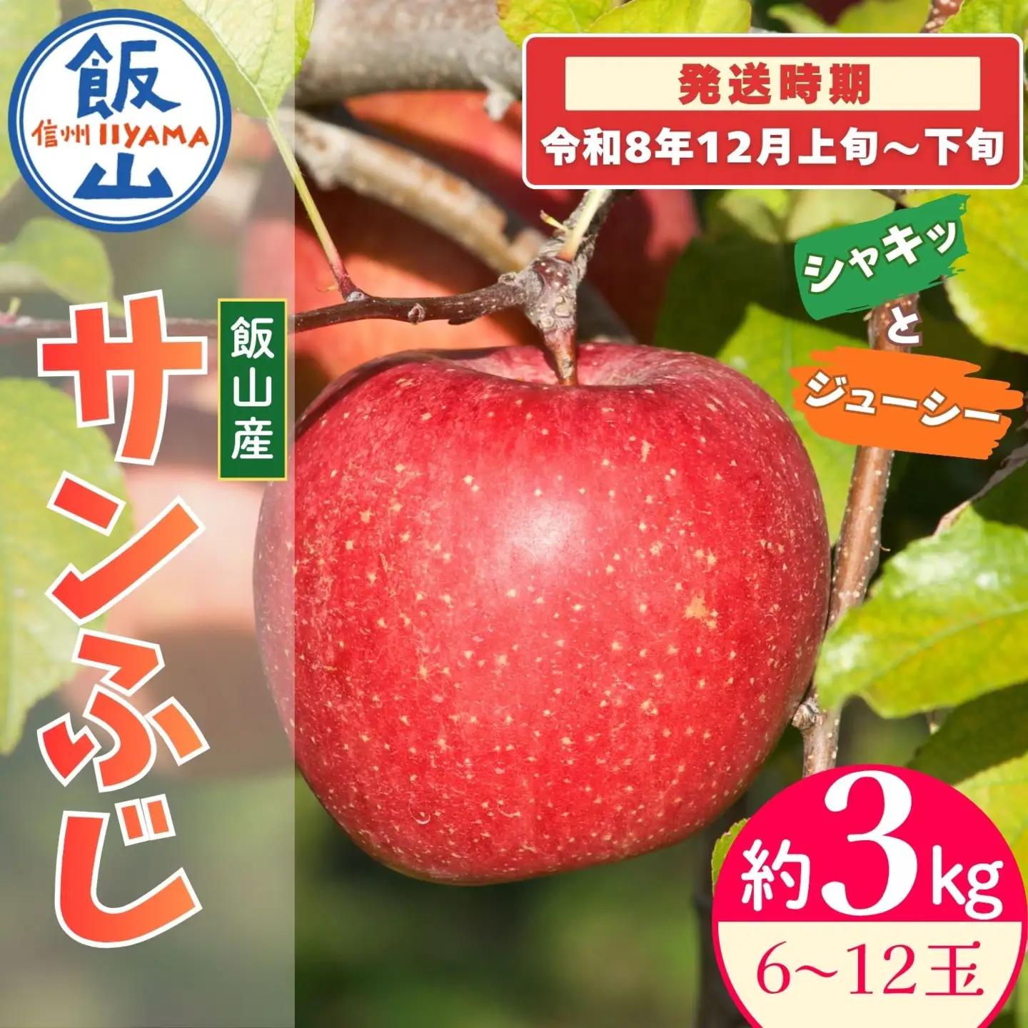 【先行予約丨2026年12月上旬より順次発送】サンふじ【約3kg(6〜12玉)】丨長野県 飯山市  (At-030)