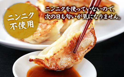 【食感と昆布だしにこだわり】 【2回定期便】お酒によく合う味噌餃子40個(10個×4箱) ※沖縄・離島への配送不可