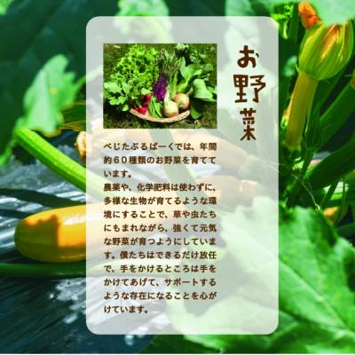 ふるさと納税 能勢町 『大阪能勢産』　農家直送!べじたぶるぱーくの旬の新鮮野菜詰合せ　Mセット(7〜8種類)　 |  | 02