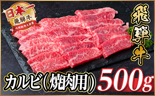 飛騨牛 カルビ(焼肉用) 500g【配送不可地域：離島】