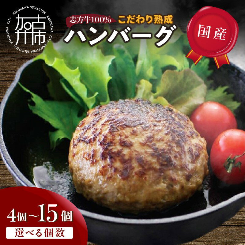 【ふるさと納税】【国産】志方牛100%のこだわり熟成ハンバーグ 150g 4個 6個 7個 10個 12個 15個《 ハンバーグ 国産 牛肉 100% 牛 こだわり セット 冷凍 肉 惣菜 お取り寄せ グルメ おかず ギフト 送料無料 贈答用 ギフト プレゼント 贈り物 》