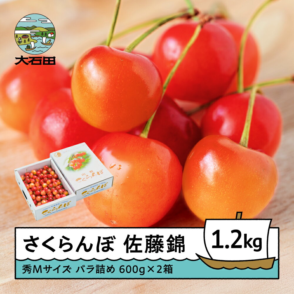 【ふるさと納税】 さくらんぼ 佐藤錦 6月上旬〜下旬発送 秀Mサイズ バラ詰め 1.2kg(600g×2箱) 2026年産 山形県産 送料無料 サクランボ