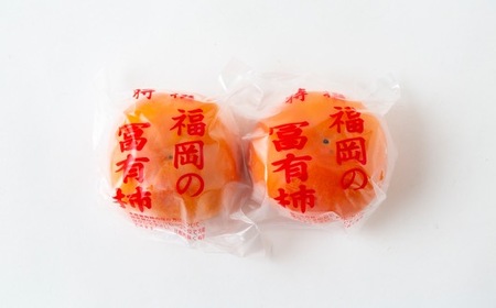 【先行予約】伊藤園 冷蔵富有柿 （2Lサイズ） 9玉～11玉 約3kg 【2025年12月中旬から12月下旬出荷予定】 ／ 富有柿 柿 果物 フルーツ くだもの うきは市