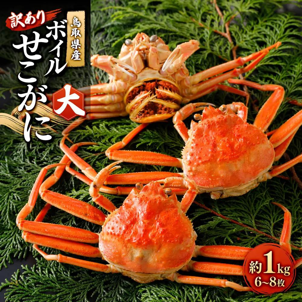 ＜11月中旬～12月上旬発送予定＞鳥取県産　訳ありボイルせこがに大１ｋｇ（６～８枚）