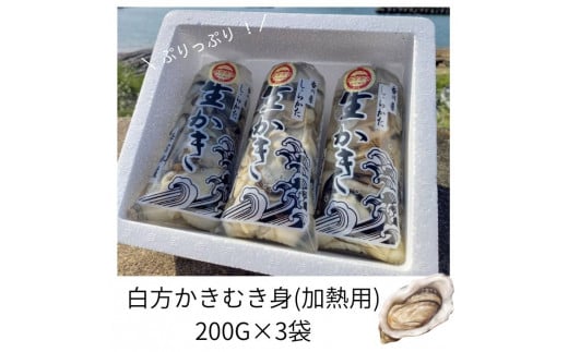香川県 多度津町産 白方かき むき身（加熱用）200g×3袋【令和8年1月頃から4月頃までの期間限定出荷】【L-30】