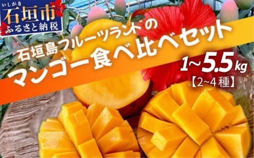 
                  ＜内容量が選べる＞産地直送！石垣島産 マンゴー 食べ比べセット (2025年6月中旬～8月下旬発送)
                