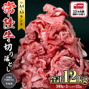 【ふるさと納税】【定期便】 全12回 【 常陸牛 】 切り落とし 1kg （茨城県共通返礼品 製造地：守谷市） 国産 切落し 焼肉 焼き肉 お肉 A4ランク A5ランク ブランド牛 黒毛和牛 和牛 国産黒毛和牛 国産牛