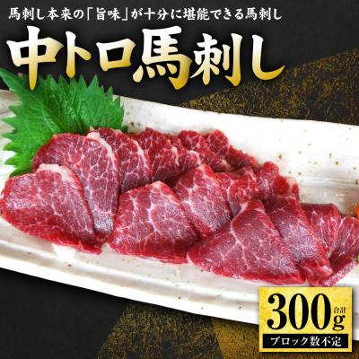 ふるさと納税 八代市 中トロ馬刺し300g 馬さし お肉 馬肉 刺身 刺し身 馬刺し 馬刺しブロック_289-6721