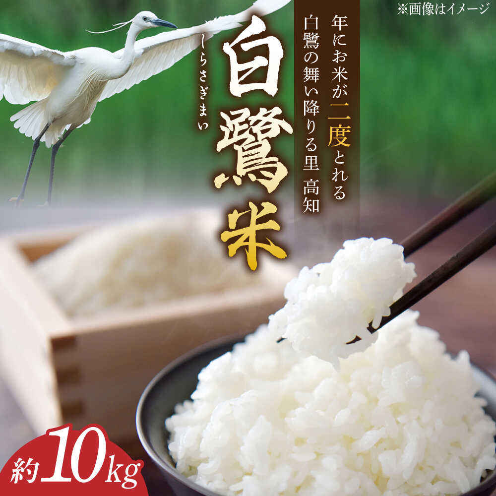 【ふるさと納税】農薬節減！ R7年度産 特別栽培米 白鷺米 コシヒカリ 約10kg ＜2025年9月中旬〜発送＞ / 高知 米 お米 精米　【津ノ宮農園】[ATBV020]