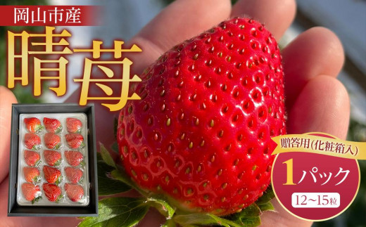 
                  岡山市産「晴苺」12～15粒 450g×1パック 贈答用 化粧箱入り＜北海道・沖縄県・離島配送不可＞
                