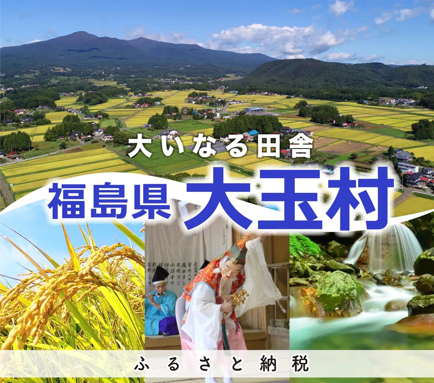 【令和8年分 先行予約】 りんご 約5kg 福島県 大玉村産 林檎 リンゴ サンふじ フルーツ