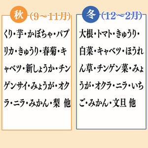 【 定期便 6回 】 野菜 果物 セット 10 から 13 種類 | お楽しみ やさい くだもの フルーツ 果物 セット 旬 春 夏 秋 冬 採れたて 新鮮 農家 直送 詰め合わせ 国産 季節 フレッ