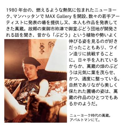 ふるさと納税 東御市 【鹿之助萬蔵】彫刻家がつくる赤白ワイン4種飲み比べ(4本) |  | 03