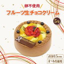 【ふるさと納税】 フルーツ生チョコ ケーキ 5号 アレルギー対応 卵 不使用 イチゴ オレンジ キウイ 桃 ぶとう さくらんぼ パイナップル 洋菓子 焼菓子 デザート スイーツ チョコ シュークリーム エクレア モンブラン 果物 フルーツ 送料無料 徳島県 阿波市 CAKE EXPRESS