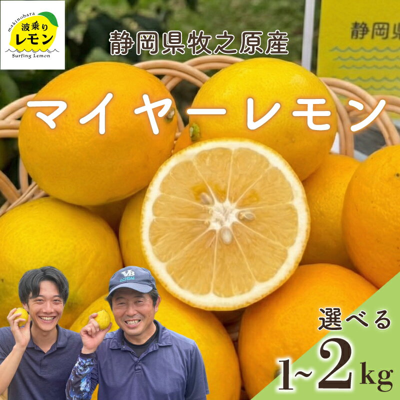 【ふるさと納税】 牧之原産 波乗りレモン マイヤーレモン 選べる 内容量 1~2kg 国産 Lemon 檸檬 柑橘類 柑橘 フルーツ 果物 酸っぱい 果肉 酸味 防腐剤不使用 自宅用 贈答品 くだもの 産直 イエローレモン おすすめ 美味しい まいやーれもん 静岡県 牧之原市