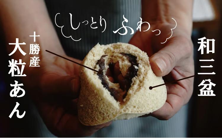 【人気どら焼き2種 5個入】和三盆 蒸しどら（プレーン）× 3 どら焼き(てらどら）×2 餡 ふわふわ しっとり食感 あいちの匠 ものづくりマイスター 優秀和菓子職 愛知県優秀技能者表彰受賞 H181-008