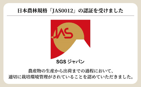 ＜洗わず食べられる・室内水耕栽培＞ フリルレタス 4袋(80~110g/袋) | レタス 洗わずに食べられる ﾚﾀｽ 新鮮レタス オーガニック野菜 無農薬 ﾚﾀｽ 野菜直送 フレッシュ サラダ用野菜 